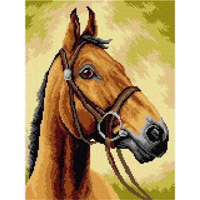 CANEVAS BLANC - CHEVAL