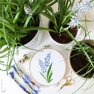 BELLEVALIA - KIT BRODERIE 21X21CM - TAMBOUR NON INCLUS - TAMAR NY