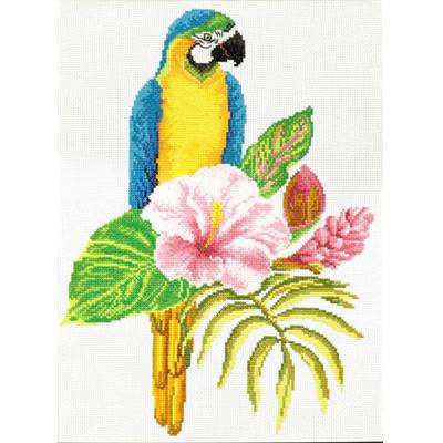 NO COUNT CROSS STITCH - PERROQUET MACAW