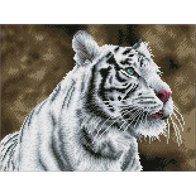 KIT BRODERIE DIAMANT SQUARES - TIGRE BLANC