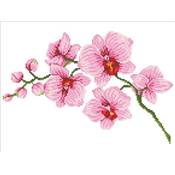 KIT BRODERIE DIAMANT - UNE BRANCHE D'ORCHIDEE