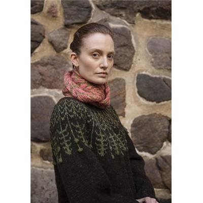 TRICOT NORDIQUE II - 20 PROJETS INSPIRATION KALEVALA