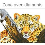 KIT BRODERIE DIAMANT - LE REGARD DU LEOPARD 