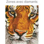 KIT BRODERIE DIAMANT - LE TIGRE DU BENGALE 