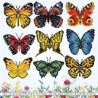 KIT BRODERIE DIAMANT - BUTTERFLY SHOWCASE