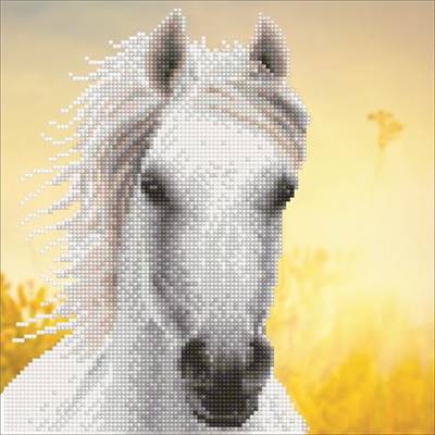 KIT DIAMOND ART INTERMEDIAIRE - WHITE HORSE