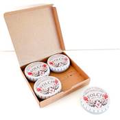 COFFRET 4 BOITES 100 PCS- EPINGLES TETE DE VERRE ULTRA - FOLCH