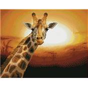 KIT BRODERIE DIAMANT SQUARES - SUNSET GIRAFFE