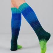 ECHEVEAU ECHOES FINGERING- 2 x 50G - 80% MERINOS 20% NYLON-GUSTO WOOL