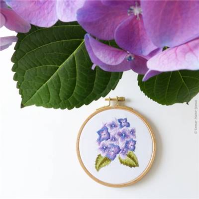 MINI PURPLE HORTENSIA-KIT BRODERIE 16X16CM-TAMBOUR NON INCLUS-TAMAR