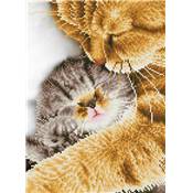 KIT BRODERIE DIAMANT - TENDRES CHATS