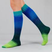 ECHEVEAU ECHOES FINGERING- 2 x 50G - 80% MERINOS 20% NYLON-GUSTO WOOL